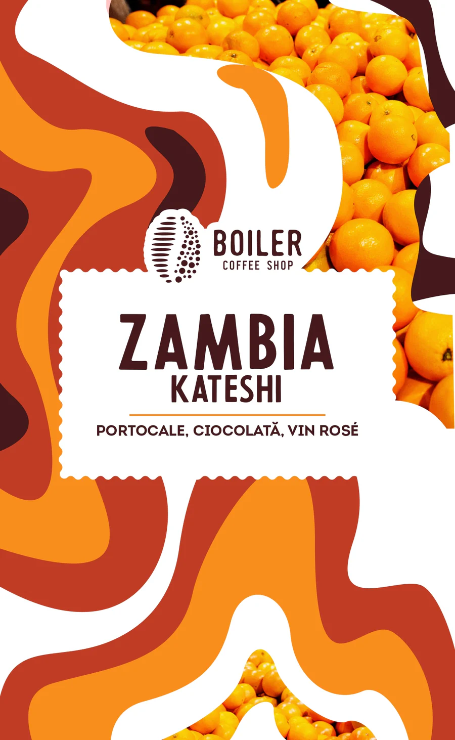 zambia_3MMbleed-pozanoua_page-0001_900x Boiler Coffee: Zambia Kateshi - imagine 1